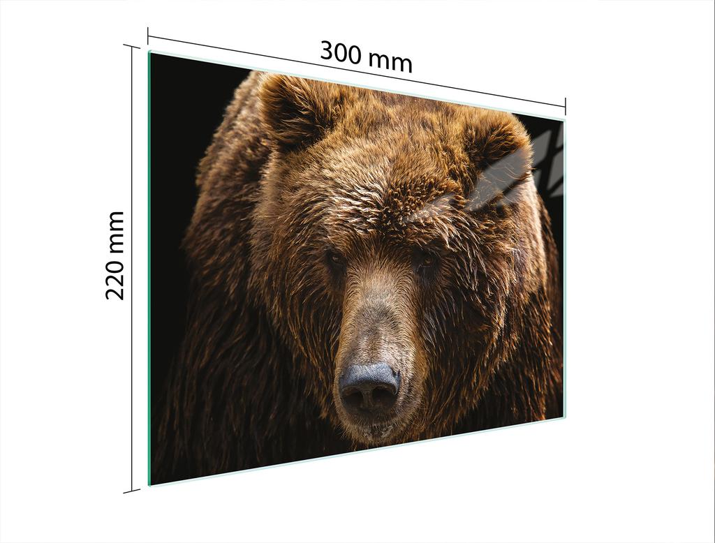 SZKLANA DESKA DO KROEJNIA 30x22 MIŚ