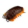 Bandai Genuine Gashapon Toys Giant Insect Pillworm Pillbug Ladybug Giant Isopod Joints Movable Simulation Model Ornaments Charms