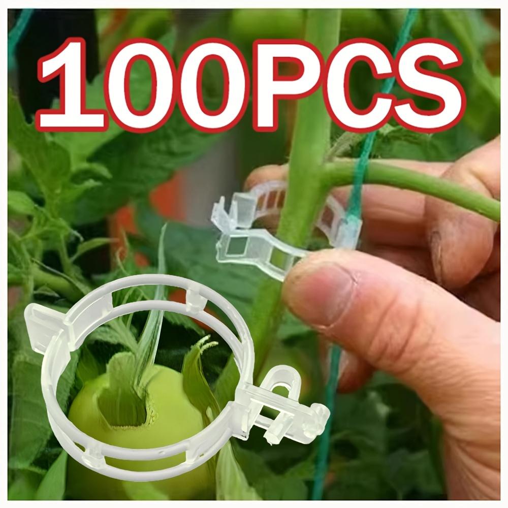 100 шт. Клипса для фиксации растений - Пластиковая клипса-опора для растений на решетку для поддержки, виноградных и томатных лоз, овощных растений