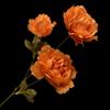 Multicolor Peony Artificial Flower Silk Petals Faux Flower Peony Lifelike Flowers  Party Supplies