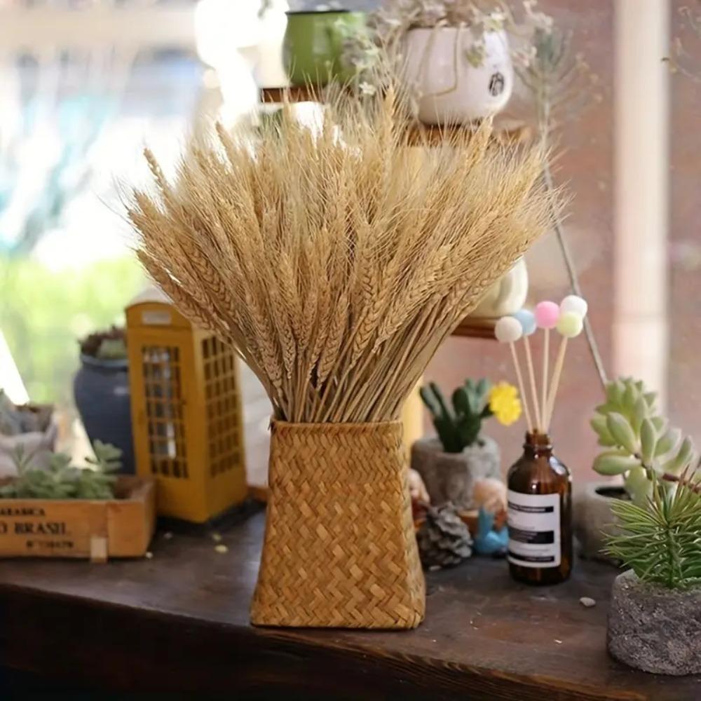 50 шт. Натуральные сушеные стебли пшеницы DIY Поделки Сухоцветы Сухие колосья пшеницы Рождественское украшение