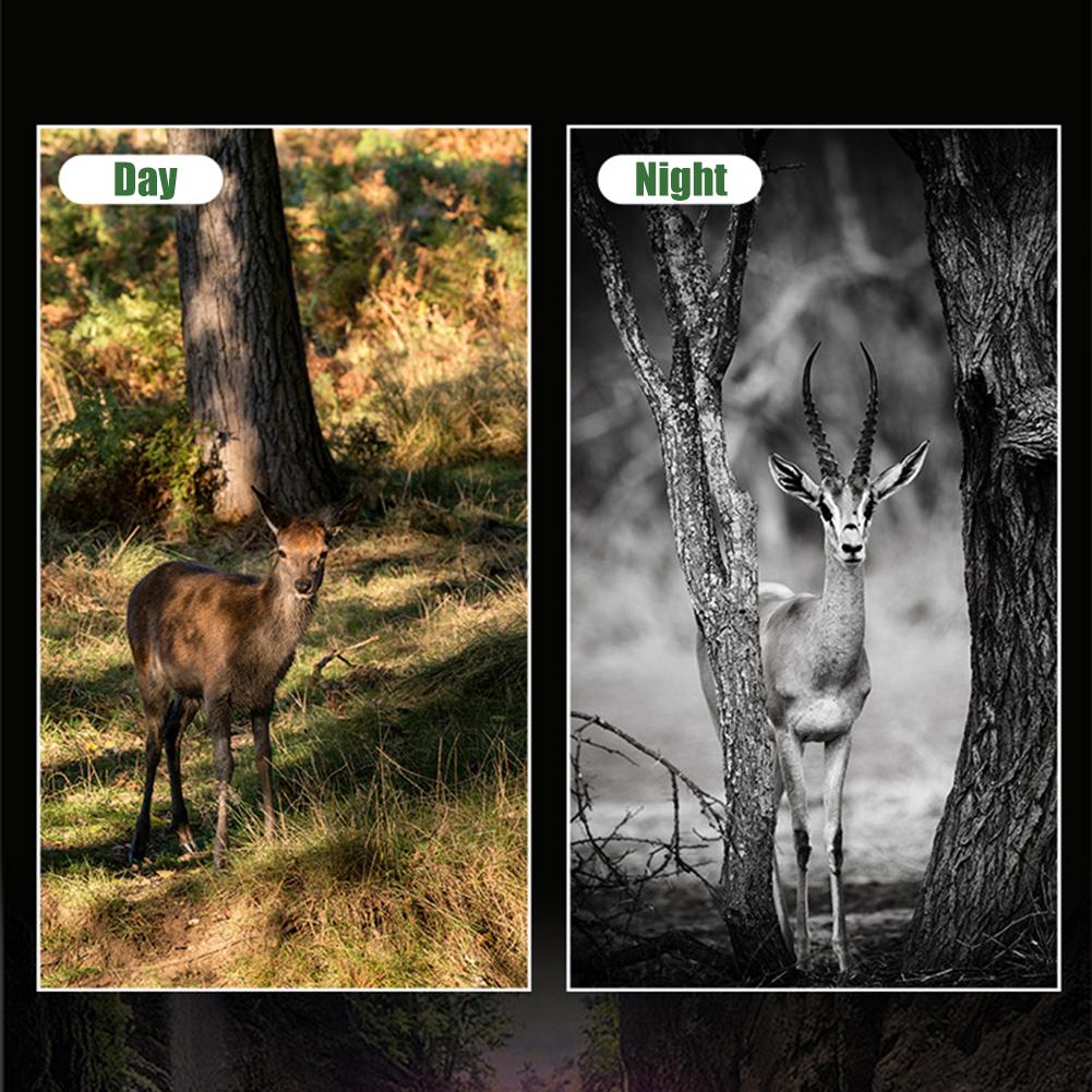 4k охотничья камера на дикую природу, Wi-Fi, дистанционное управление, Bluetooth, след, камера, 0,2 с, быстрые триггеры, ночное видение, уличный монитор безопасности