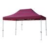 OEING Foldable Rainproof Canopy Tent with Sidewalls