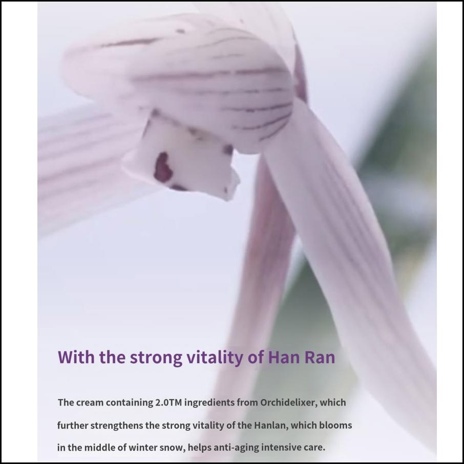 Innisfree Крем Jeju Orchid Enriched Cream 50 мл. Омолаживающий увлажняющий крем для упругой и напитанной кожи