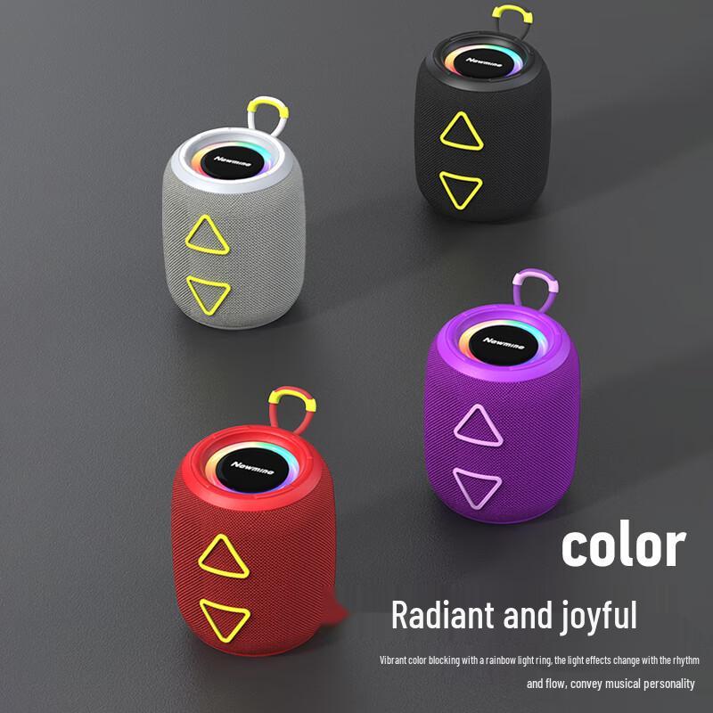 Newmine BT87 Portable Bluetooth Speaker CN plug (adapter included)