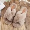New Fashion Shoes Autumn and Winter Korean Edition Household Cotton Slippers for Women Cute Fur Slippers for Women