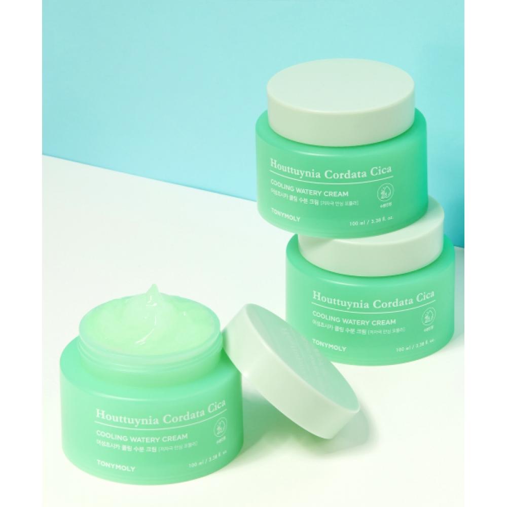 Tonymoly [Большой объем] Охлаждающий увлажняющий крем Houtseongchoshika 100 мл