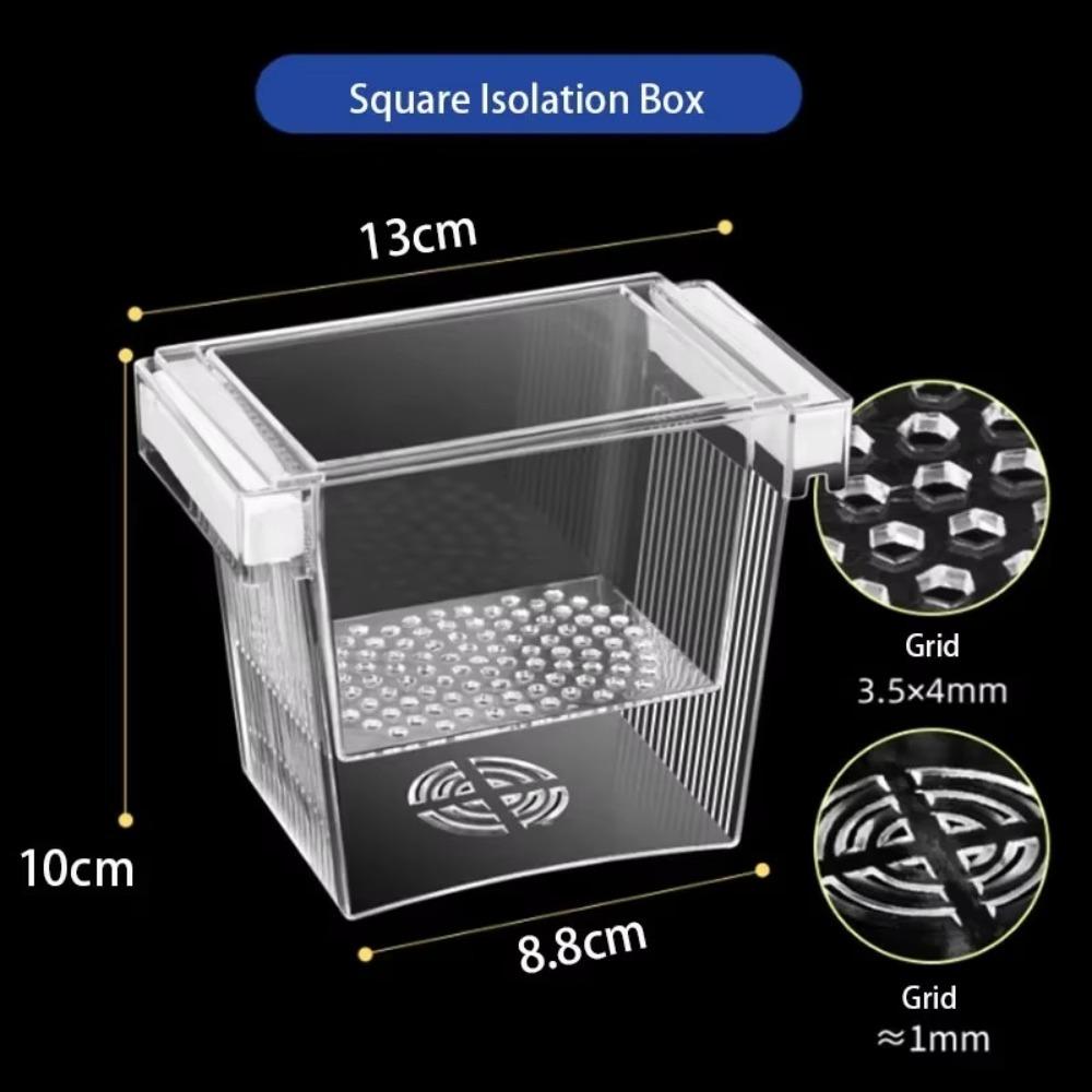 Прозрачный аквариумный изоляционный ящик для креветок, гуппи, плавающих рыб, изоляционный ящик для разведения рыб