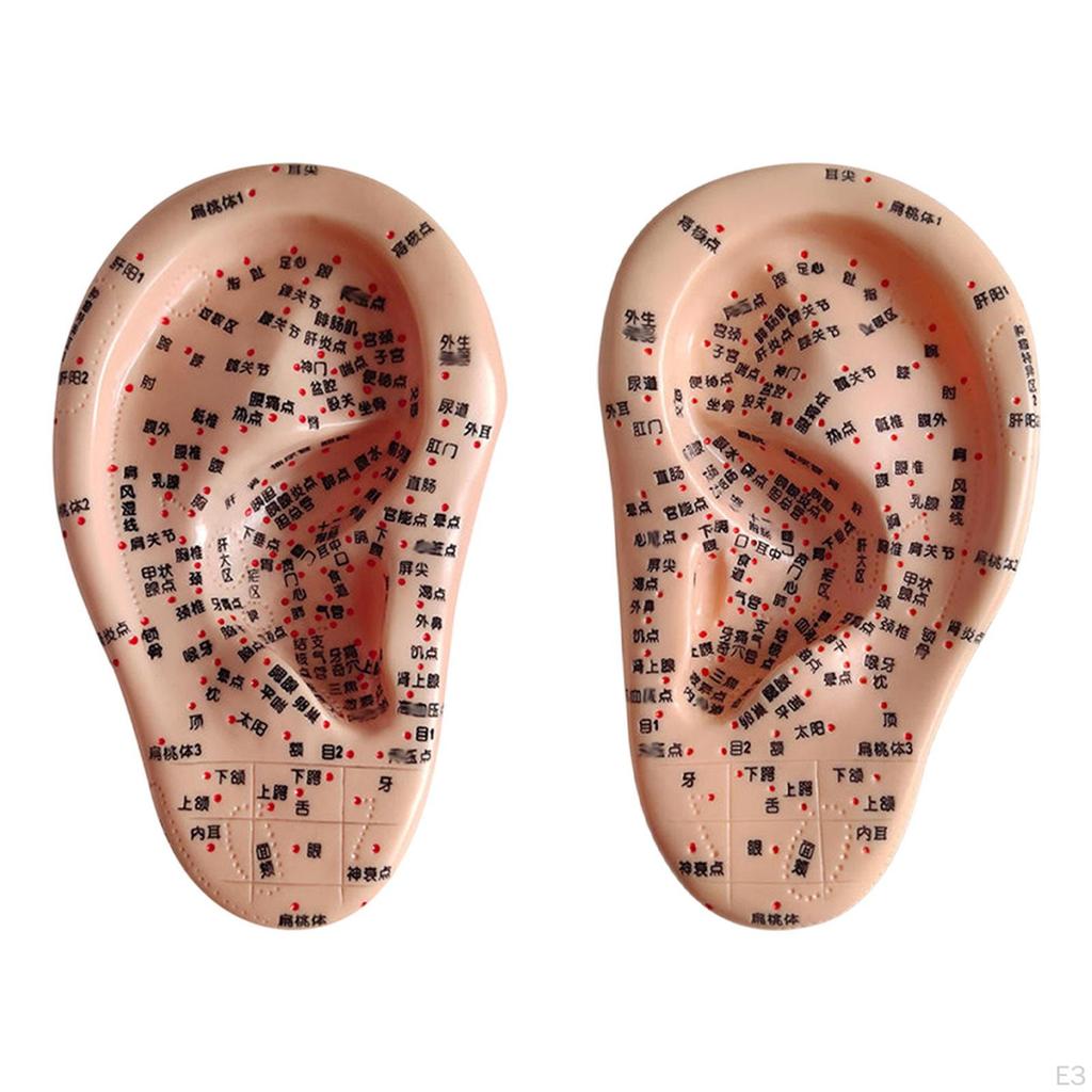 Акупунктурная точка человеческого уха Аурикулярная модель Высокомоделированная практика Учебное пособие для обучения
