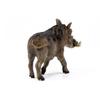 Schleich Warthog Figure SL14843, 1 шт., популярные игрушки в Корее