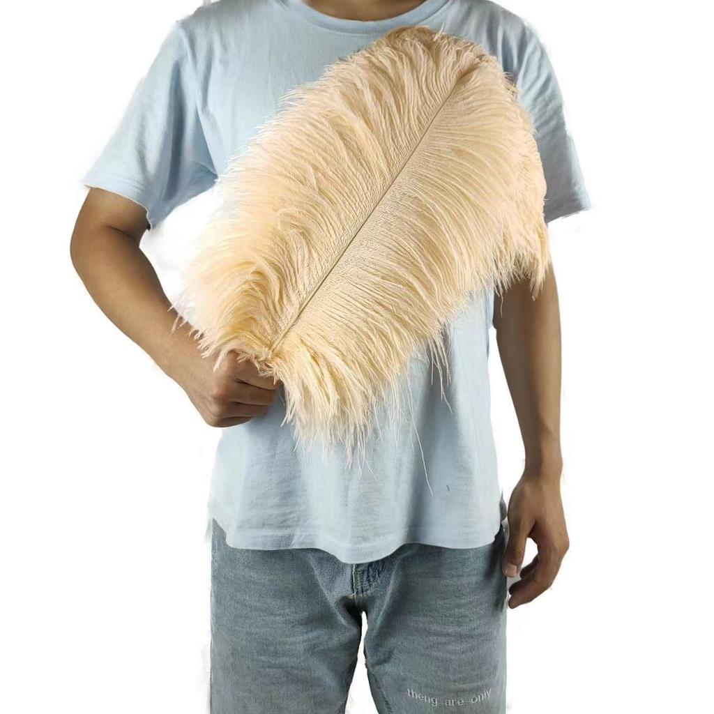 10PCS 45-50cm Colorful Big Feathers Ostrich Table Flower Table Flower Wedding Decoration Ostrich Feathers