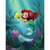 Mermaid Disney Ariel Cartoon Drill Hanging Element Puzzle Sale Stitch Mosaic 5d Art Diamond Painting Handcraft Gift Big Size