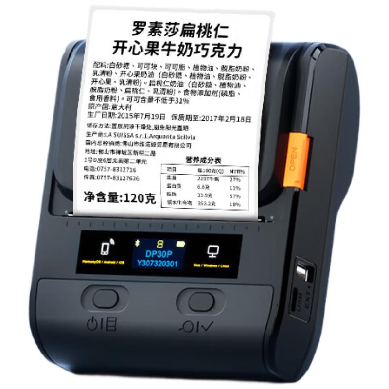 Detong Smart Thermal Handheld Label Printer DP30P CN plug (adapter included)