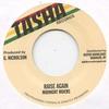 7-дюймовая пластинка MIDNIGHT RIDERS  GIFTED ROOTS BAND  Raise Again  Версия DKR042 TashaDigikille 1987 США Регги Ска Даб Б/у