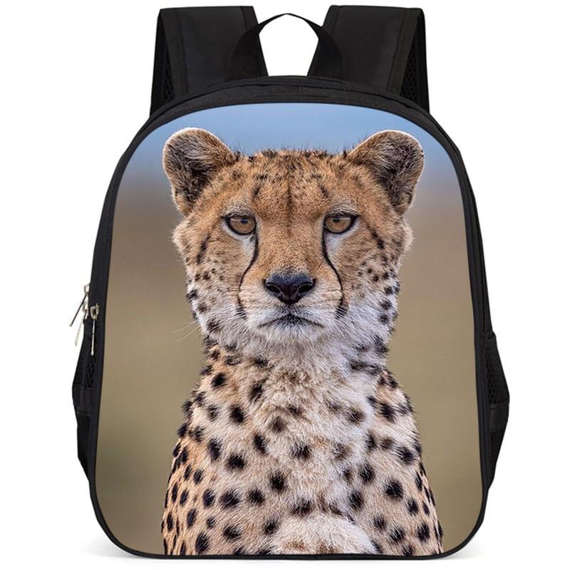 15-inch Kids Lightweight School Backpack Boys Girls Large Capacity Oxford Fabric Daypack With Ergonomic Straps
