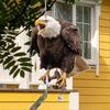 Owl Bird Deterrent for Gardens - Waterproof Outdoor Owl Scarecrow Pendant with Bell, Rope, and Ribbon, 6 Inch