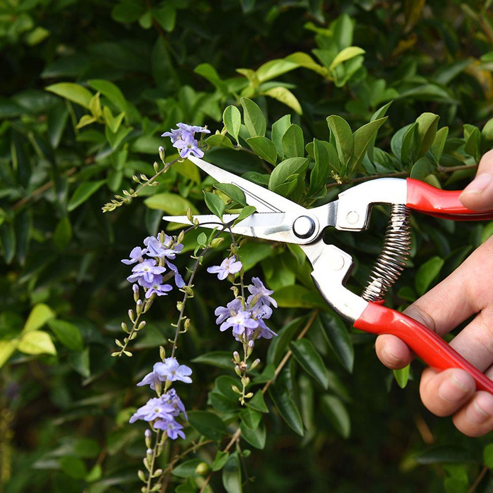 Tools Secateurs Orchard Garden Garden Scissors Pruning Shear Micro-Tip Snips Gardening Hand Pruner