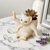 5/8-Inch Grooming Cat Planter Pot Playing Ball Cat Succulents Herb