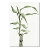 Постер с бамбуковыми листьями Дзен-декор Новый китайский Нереалистичная абстрактная чернильная живопись Печать Настенное искусство Холст Картина для домашнего декора Без рамы