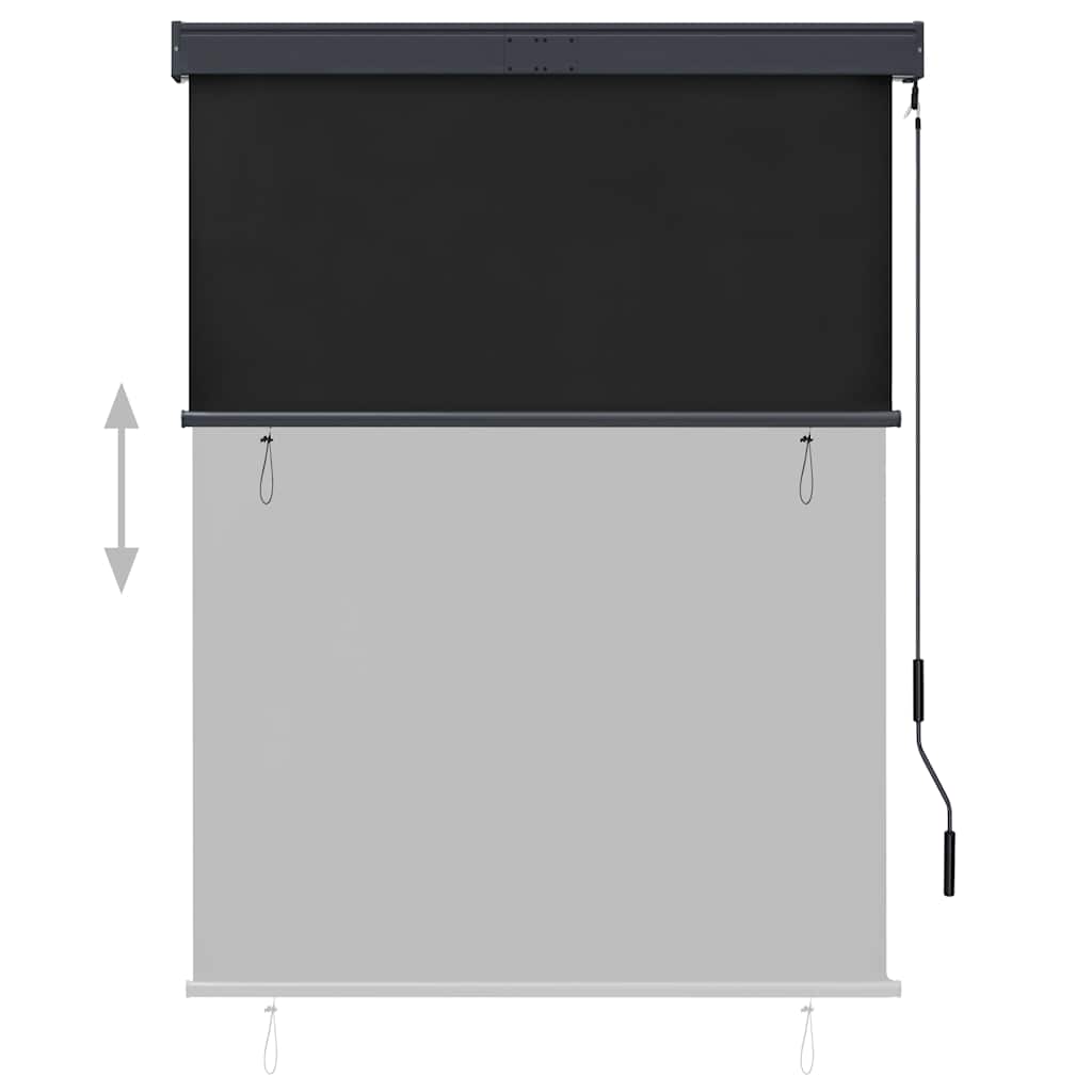 Outdoor Roller Blind 120 x 250 cm Anthracite