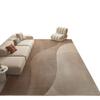 Living Room Carpet Sofa Coffee Table Carpet Simple Wear-resistant Anti Slip Entrance Floor Mat