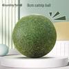 Yun Xiaoshi Catnip Solid Ball Toy (2-Pack)