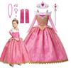 New Princess Costume Girls Party Role Paly Dress Up Halloween Costumes Princess Dress Children Party Cosplay Dress with Accessories