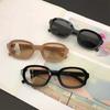 Vintage Small Frame Oval Sunglasses Women's Brand Designer Tan Sun Glasses Women Outdoor Travel Eyewear UV400