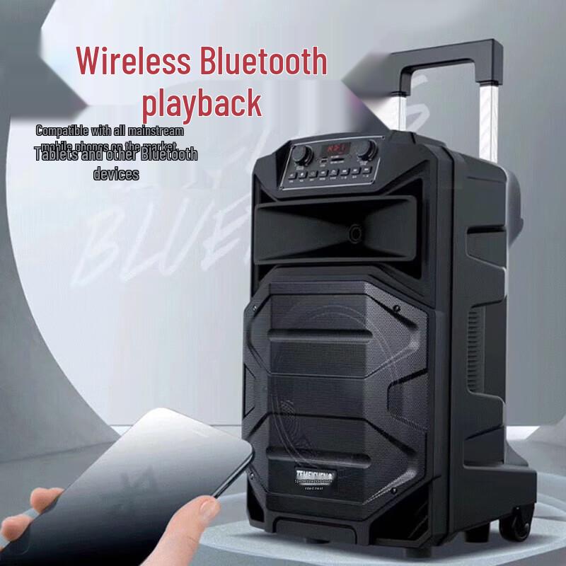 TEMEISHENG SL12-31Pro Portable Bluetooth Trolley Speaker (CN version)