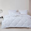 Mendale Antibacterial Cloud Comfort Four Seasons Quilt