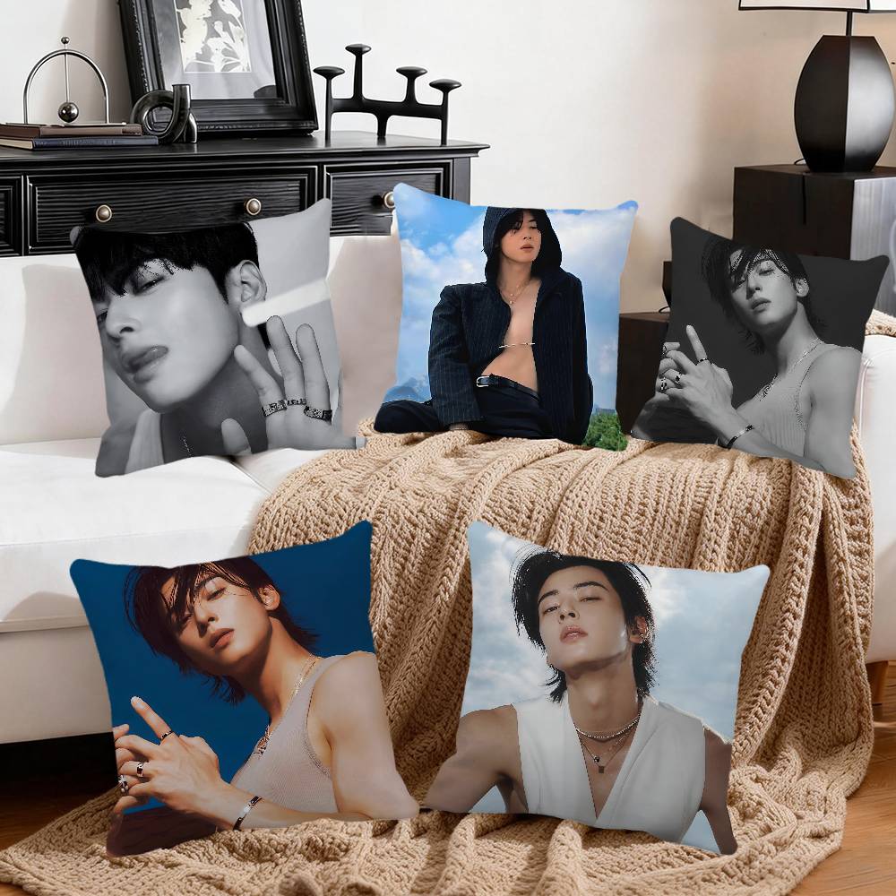 Korea Sexy Photos Cha Eun Woo Pillow Case Square Pillow Bedroom Sofa Leisure Comfort Cushion Car Home Decoration