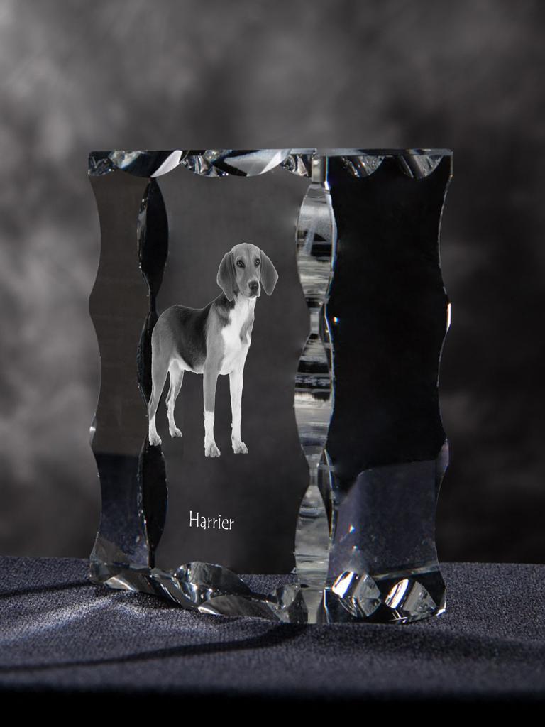 Harrier - crystal with a picture of a dog, glass statuette with a picture, unique frame with a picture from Art-Dog brand