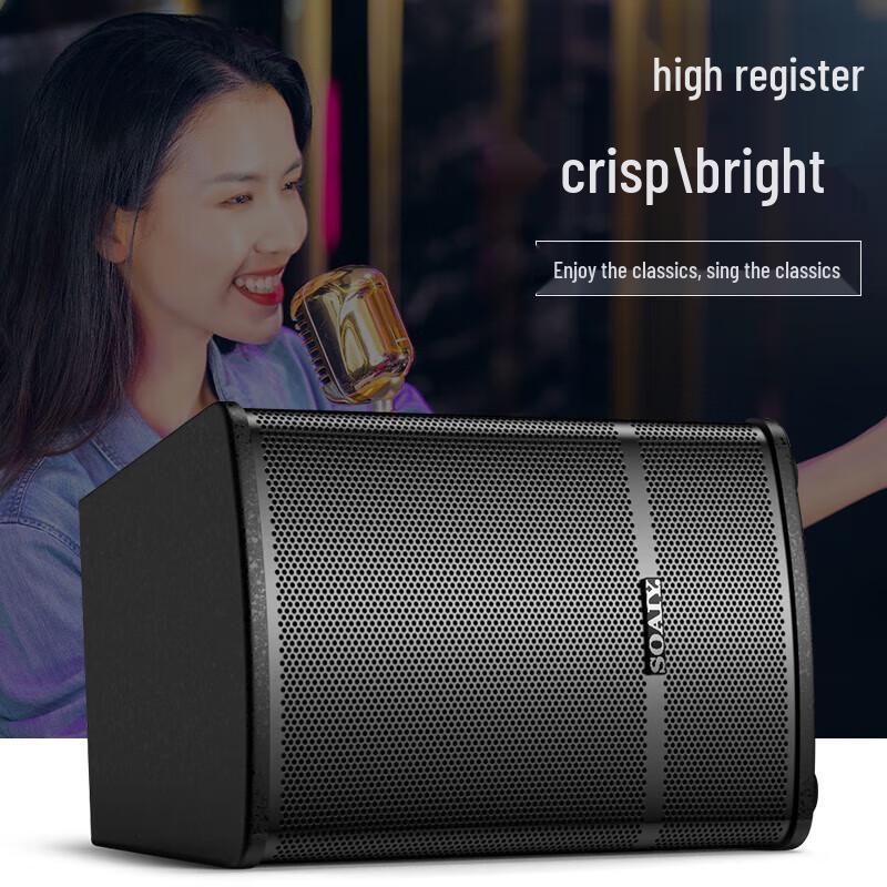 Soyea CK-M38 Professional Bluetooth Karaoke & Conference Speaker System