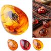 Queenbox Resin Amber Insect Pendant Butterfly Fossil Samples Stones Crystal Home Decorations and Jewelry Making