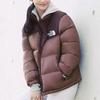 THE NORTH FACE 1996 Collection Eco Nuptse Down Jacket Winter Women's Brown Unisex NJ1DM83C