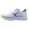 Mizuno Дышащие и упругие кроссовки с низким верхом для тренировок, бега на длинные дистанции, спринта, городских поездок, унисекс, синие Mizuno J1GC240201