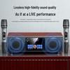 Soaiy SA-X15 Home KTV Karaoke System with Dual Microphones CN plug (adapter included)