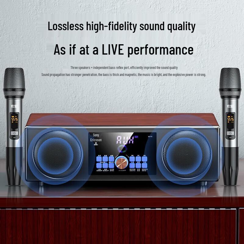 Soaiy SA-X15 Home KTV Karaoke System with Dual Microphones CN plug (adapter included)