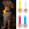 USB Rechargeable LED Pet Pendant, Night Safety Glow In the Dark Dog Tag, Cat Tracker, Pet Accessories