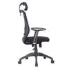 Офисное кресло Iris Plaza Кресло Стул Письменный стол Подголовник Сетка Полиэстер Черный x Черный OFC-08