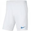 Childrens/Kids Park III Shorts