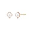 Aura Pearl 3 Pearl Earrings_242600002
