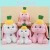 Bunny Plush Toy Cartoon Pineapple Figure Girl Children Birthday Holiday Gift