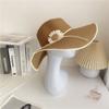 Spring Summer Bohemian Straw Hat Sun Flower Women's Sun Hat Ins Folding Straw Hats  Girls