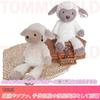 TOMMYFIELD Sheep Plush Toy, Birthday, Christmas Gift, Room Decor for Kids and Adults (Beige) [Used]