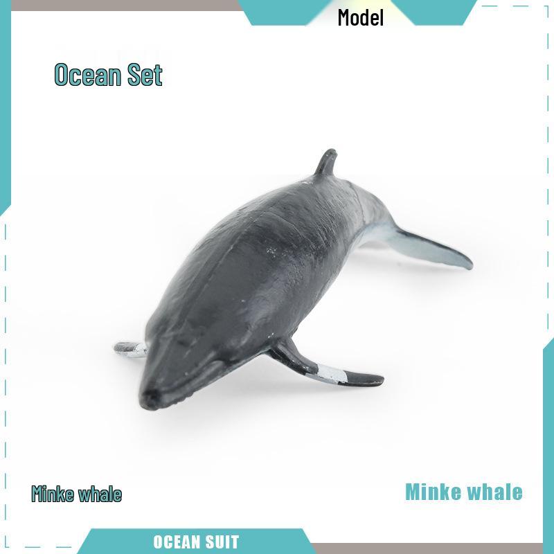 Children's Marine Animal Model Set: Mini Whale, Shark, Dolphin, Turtle, Sea Lion