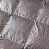 Youmeng Jiaju Graphene White Duck Down Comforter