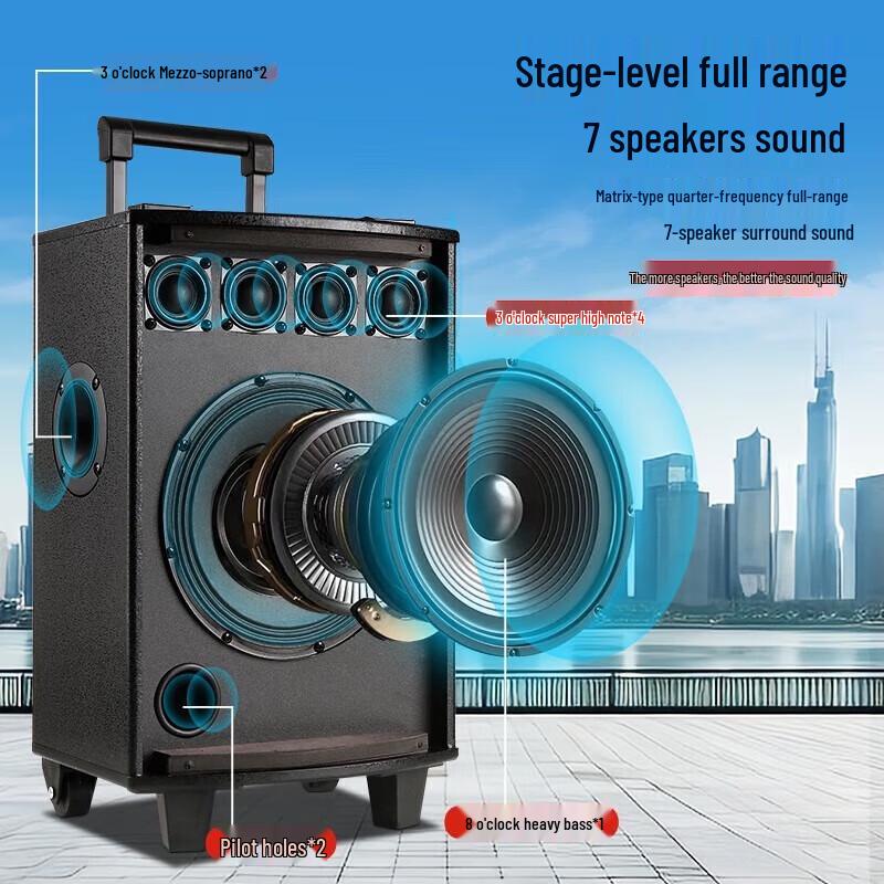 KONKA 8-inch Portable Outdoor KTV Speaker