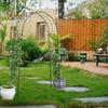 Metal Garden Arch for Climbing Plants Wedding Event Decoration Arch Frame Easy Assembly Curved Trellis for Roses Vines Balloons