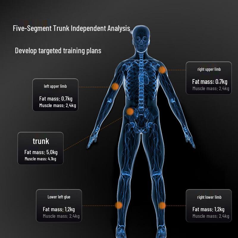 Xiangshan Digital Body Composition Scale